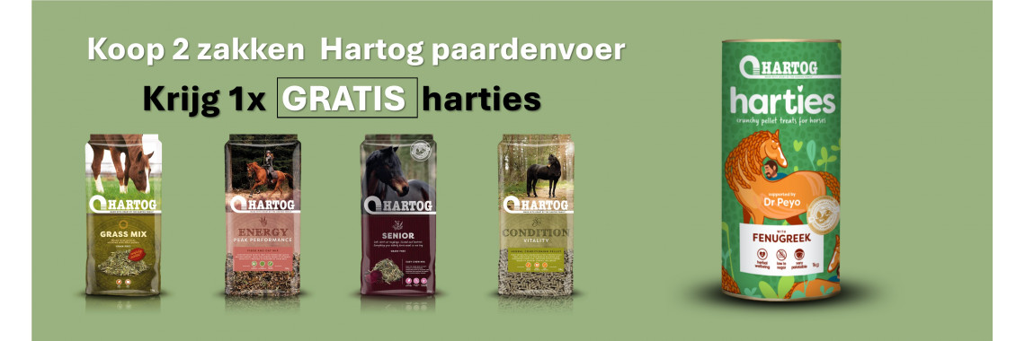 hartog harties