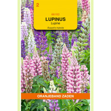 OBZ LUPINUS, LUPINE RUSSELL'S GEMENGD