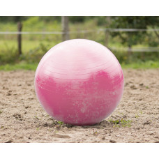 PAARDENVOETBAL