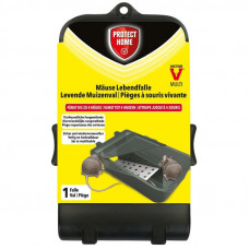 MUIZENVAL "CATCH & HOLD" (1 STUKS) -PROTECT HOME- MUIZENVAL "CATCH & HOLD" (1 STUKS) -PROTECT HOME-