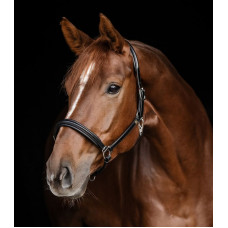 HALSTER LEDER S-LINE CLASSY ZWART FULL