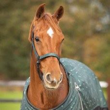 HALSTERSET TURNOUT COLLECTION WINTER QHP