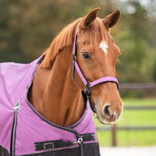 HALSTERSET TURNOUT COLLECTION WINTER QHP