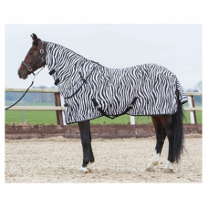 VLIEGENDEKEN MET LOSSE HALS ZEBRA