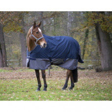 EQUITHÈME TYREX 600 D 0 GRAM