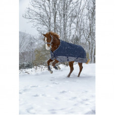 EQUITHÈME TYREX 600 D 300 GRAM