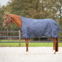 REGENDEKEN TURNOUT COLLECTION HALVE HALS 150 GR SAPPHIRE 205