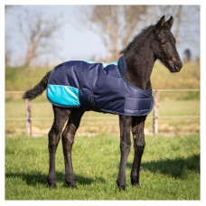 VEULENDEKEN TWO TONE BLAUW VEULENDEKEN TWO TONE BLAUW