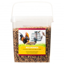 MEELWORMEN 900G MEELWORMEN 900G
