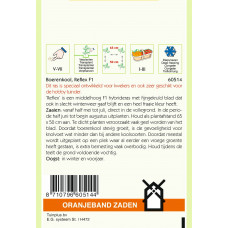 OBZ BOERENKOOL REFLEX F1 (WORDT WINTERBOR F1)