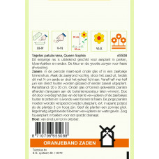 OBZ TAGETES, AFRIKAAN BOLERO (VH QUEEN SOPHIA)