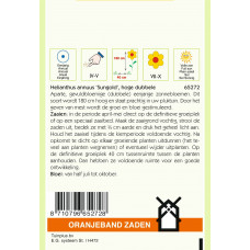 OBZ HELIANTHUS, ZONNEBLOEM SUNGOLD DUBBELBLOEMIG HOOG