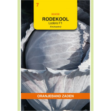 OBZ RODE KOOL KNOLVOETVRIJ LODERO F1