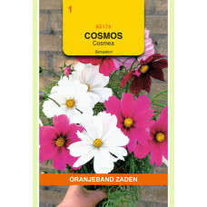 OBZ COSMOS, COSMEA SENSATION GEMENGD