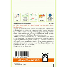 OBZ WORTELEN LAGUNA F1