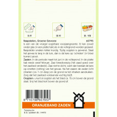 OBZ RAAPSTELEN GROENE GEWONE