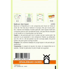 OBZ BASILICUM SIAM QUEEN