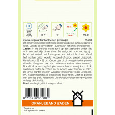 OBZ ZINNIA DAHLIABLOEMIG GEMENGD