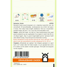 OBZ SPINAZIE NORES, 15G