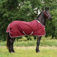 BUCAS ATLANTIC EXCLUSIVE MEDIUM WINE 145/198