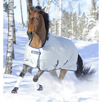 BUCAS POWER TURNOUT LIGHT 213 ( 165/7.0)