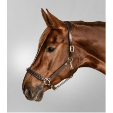 HALSTER LEDER S-LINE CLASSY BRUIN