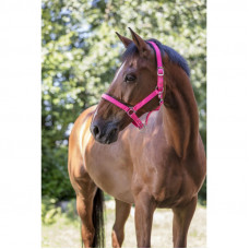 HALSTER FLUO