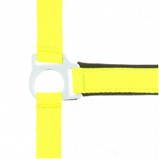 HALSTER FLUO