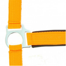 HALSTER FLUO