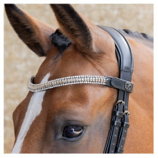FRONTRIEM CLINCHER ZILVER FULL