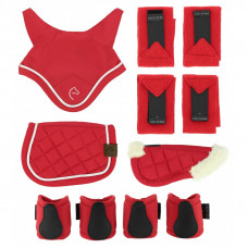 5 DELIGE SET MINI PONY ROOD 5 DELIGE SET MINI PONY ROOD