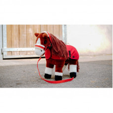 MINI HALSTERSET BONT ROOD