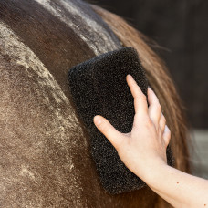 EQUI SUPER SHINER