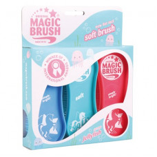 MAGIC BRUSH