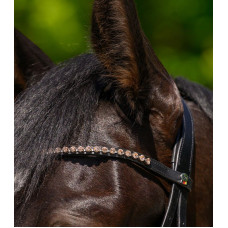 FRONTRIEM X-LINE GLAM ZWART PEACH COB