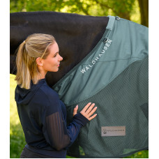 COMFORT REGEN-VLIEGENDEKEN PINE GREEN 185