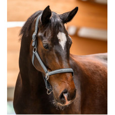 HALSTER ATHLETIC CHROME GREY