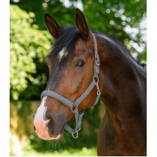 HALSTER TRINIDAD CHROME GREY