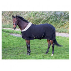 FLEECEDEKEN AURACH 195