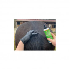 ANIMADERM DERFEN ORIGINAL LOTION 250 ML