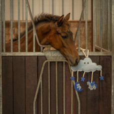 PAARDENSPEELGOED NOVY ROZE