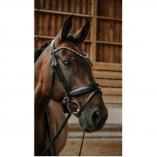 HOOFDSTEL NORTON DIAMS FULL