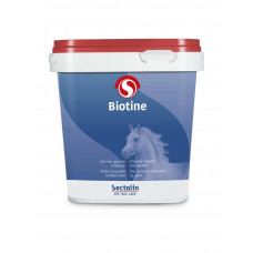 SECTOLIN BIOTINE 1KG
