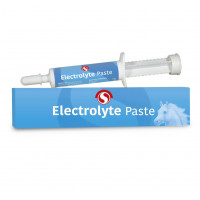 SECTOLIN ELECTROLYTE PASTE 30ML SECTOLIN ELECTROLYTE PASTE 30ML