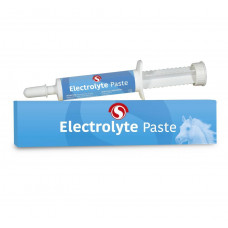 SECTOLIN ELECTROLYTE PASTE 30ML