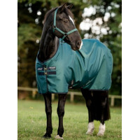 AMIGO REGENDEKEN 900D 100 GRAM DYNASTY GREEN AMIGO REGENDEKEN 900D 100 GRAM DYNASTY GREEN