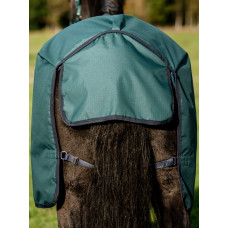 AMIGO REGENDEKEN 900D 100 GRAM DYNASTY GREEN AMIGO REGENDEKEN 900D 100 GRAM DYNASTY GREEN