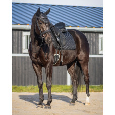 HOOFDSTEL GLITTER ZWART