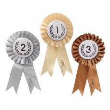 ROZETTENSET HOBBY HORSE MIX KLEUREN