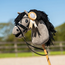ROZETTENSET HOBBY HORSE MIX KLEUREN